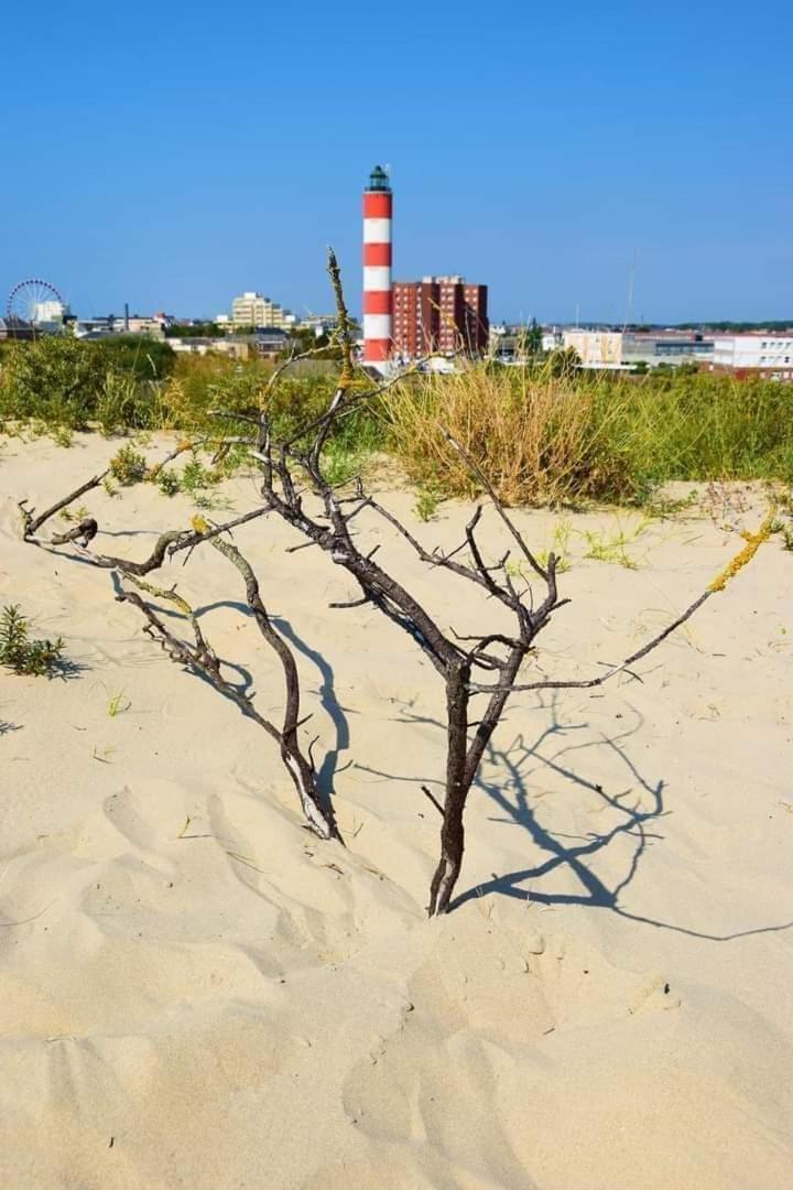 L'Alteia - L'Appartement Les Pieds Dans L'Eau Avec Place De Parking Prive Et Acces Direct A La Plage Berck Exteriör bild
